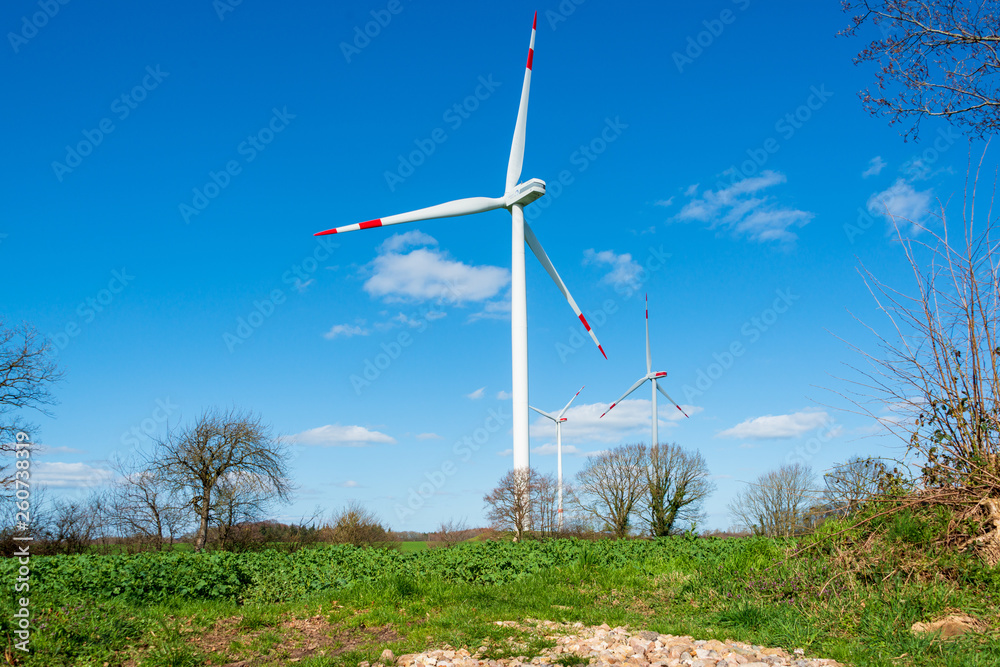 Windkraftanlagen auf einem Acker in Schleswig-Holstein im Frühling