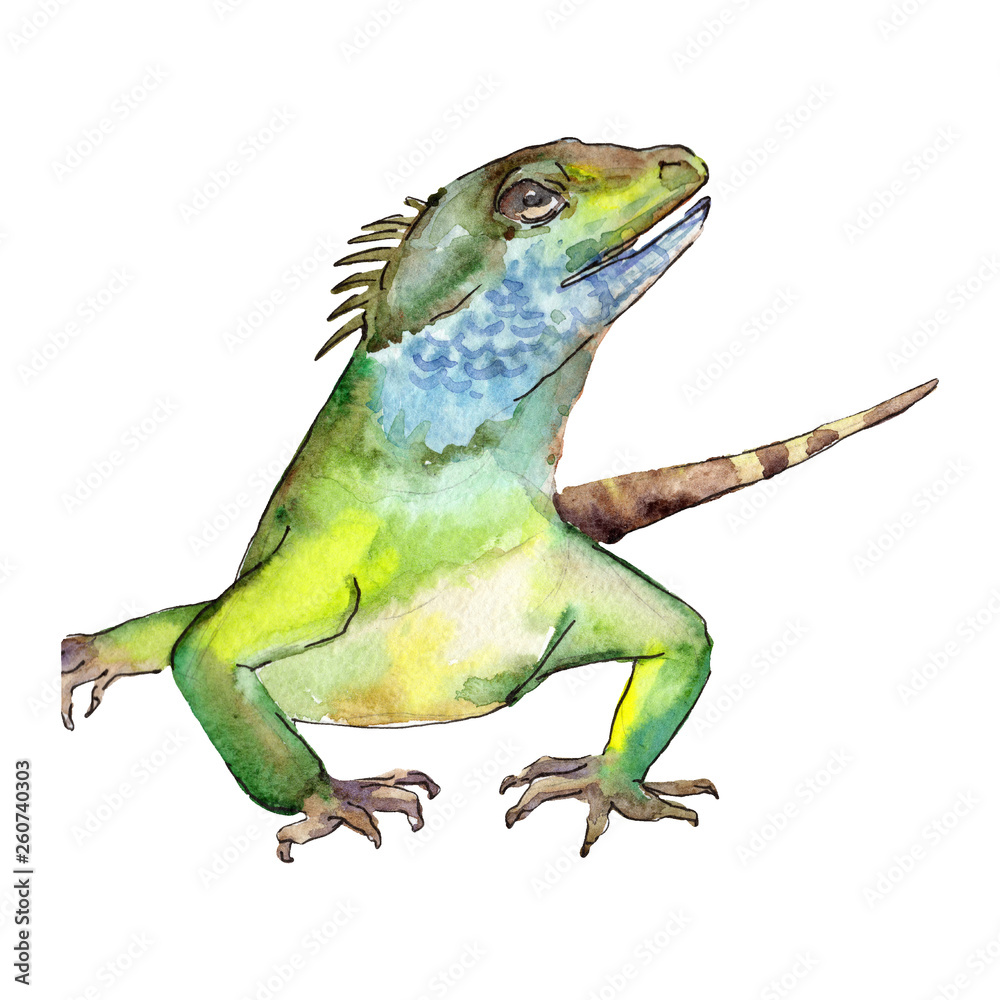 Naklejka premium Exotic animal wild animal in a watercolor style. Background illustration set. Isolated reptilia illustration element.