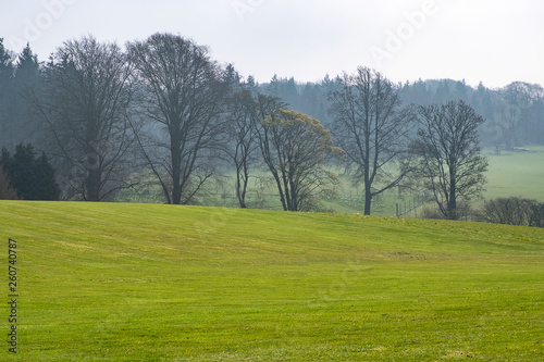 Tree lined horizon and countryside