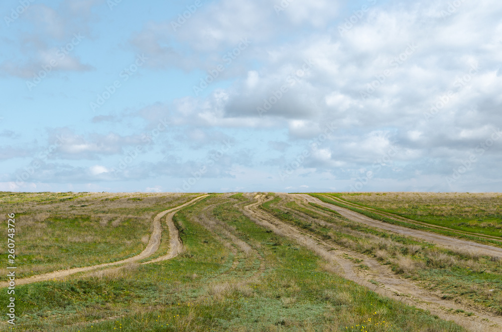 Automobile dirt and dusty roads among green grass in the steppe of Kazakhstan