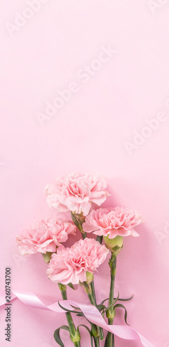 Beautiful fresh blooming baby pink color tender carnations isolated on bright pink background  mothers day thanks design concept top view flat lay copy space close up mock up