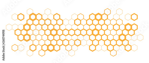 Canvastavla Hexagon / Honeycombs