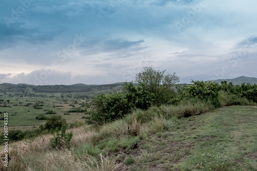Landscape in Serengeti