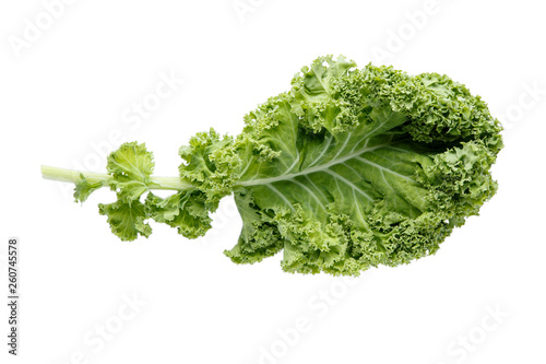 Fresh green organic kale leaf isolated on white.