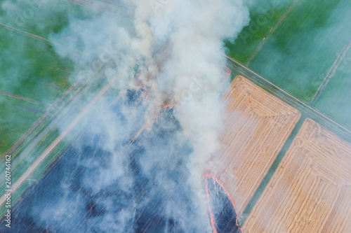 Burning straw in the fields of wheat after harvesting photo