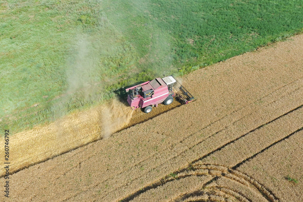 Cleaning wheat harvester. Top view.