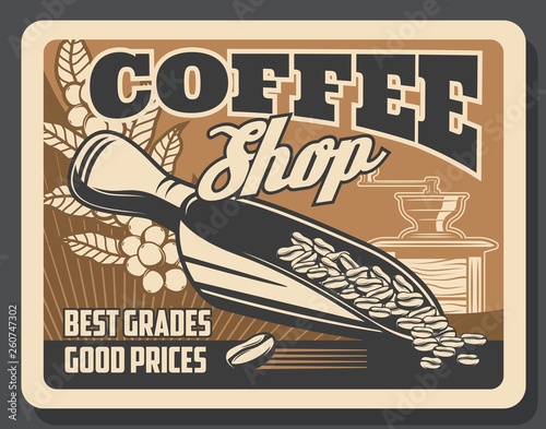 Coffeeshop cafeteria, coffee brewing grinder mill