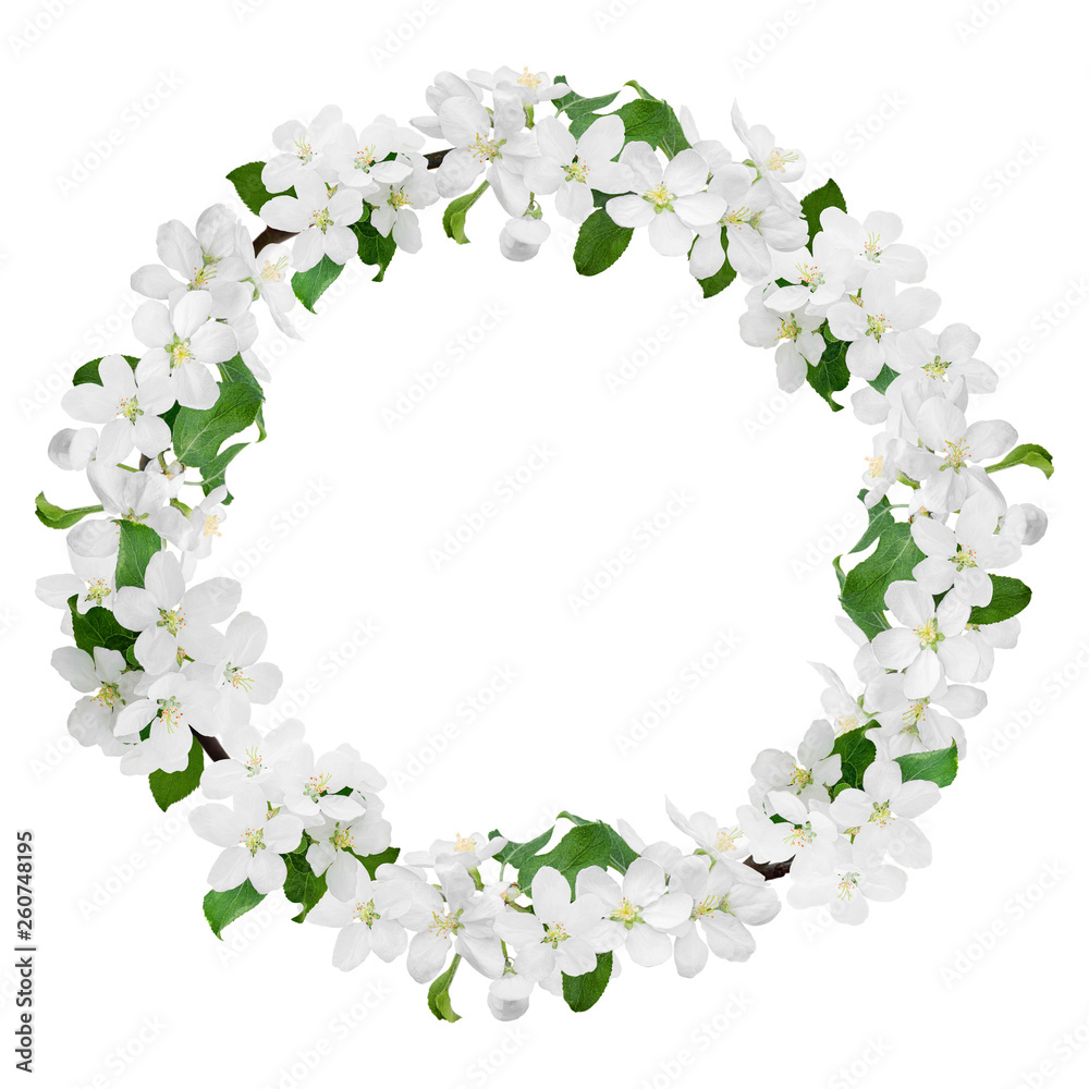 Spring wreath with white flowers of apple-tree Spring wreath with white flowers of apple-tree