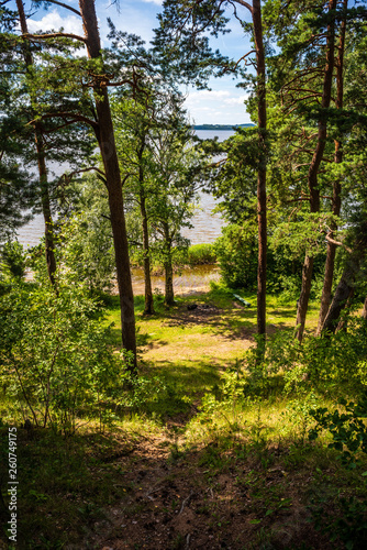 Fototapeta Naklejka Na Ścianę i Meble -  scenic forest lake in sunny summer day with green foliage and shadows