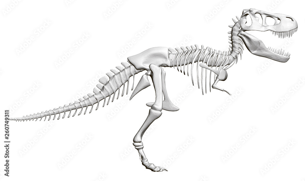 Dinosaur skeleton. Side view. 3D. Vector illustration Dinosaur skeleton. Side view. 3D. Vector illustration