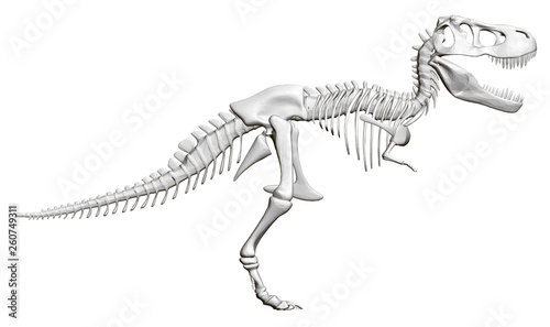 Dinosaur skeleton. Side view. 3D. Vector illustration © German Ovchinnikov