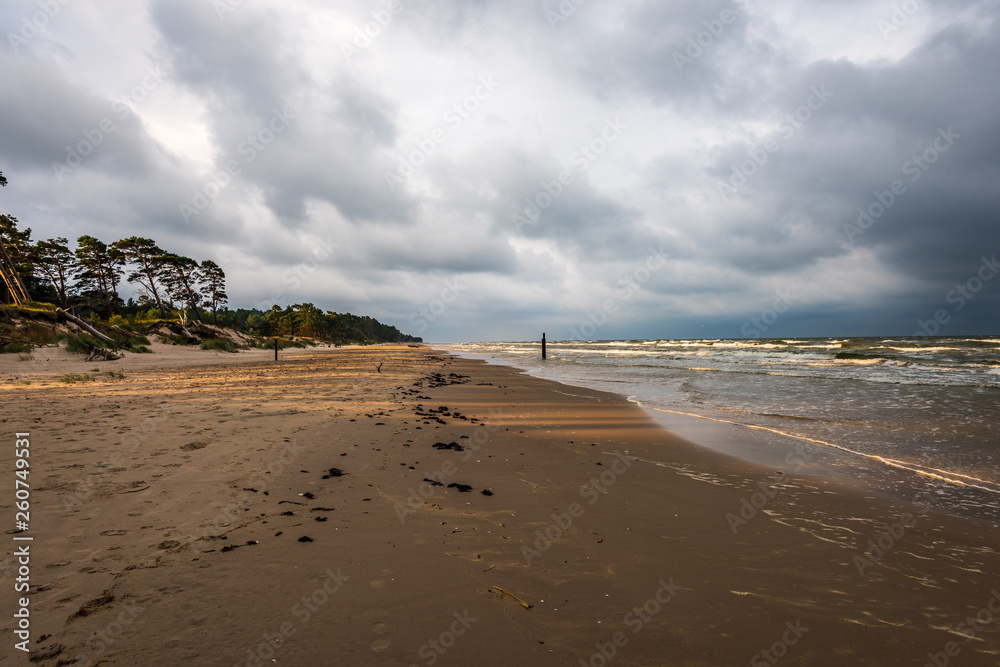 empty sea beach before storm with dramatic clouds and shadows from trees on the sand empty sea beach before storm with dramatic clouds and shadows from trees on the sand