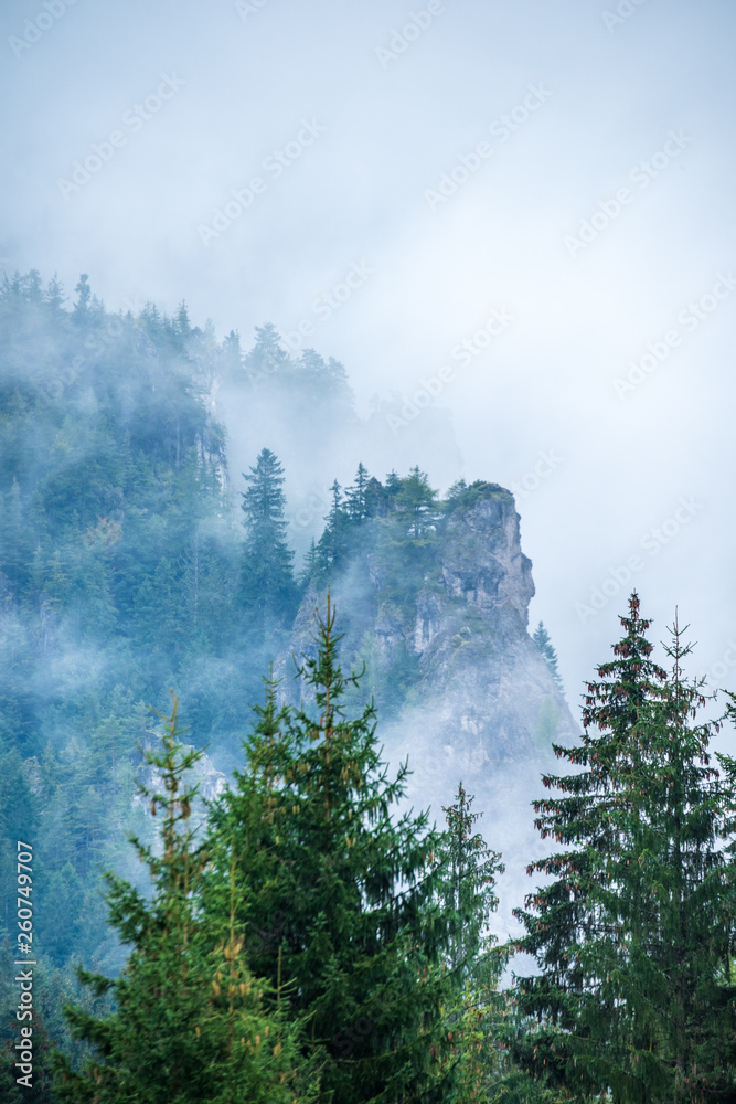 Fototapeta mgła wyrastająca z dolin w lesie w słowackich Tatrach