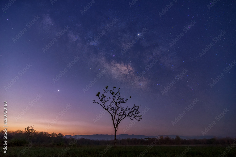 Milky way galaxy. Milky way galaxy.