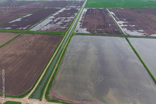 Flooded rice paddies. Agronomic methods of growing rice in the fields.