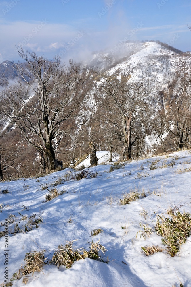 雪の丹沢山より不動ノ峰