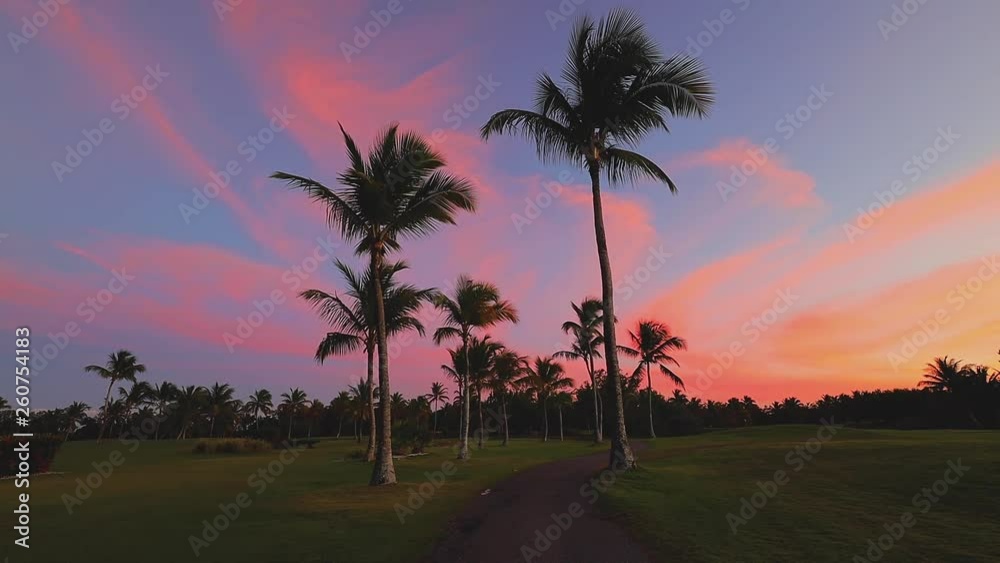 Golf course in the tropical island, beautiful sunset with palm trees silhouettes video Golf course in the tropical island, beautiful sunset with palm trees silhouettes video