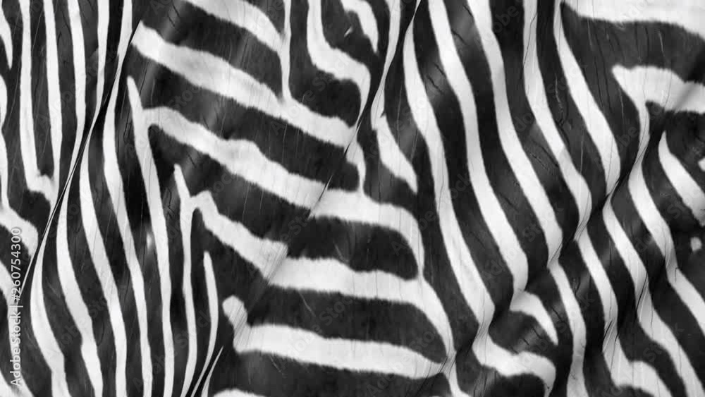 Abstract zebra skin 3D. Background of African theme of wild animals.