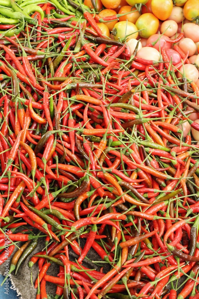 Fresh chilli for cooking at street food Fresh chilli for cooking at street food