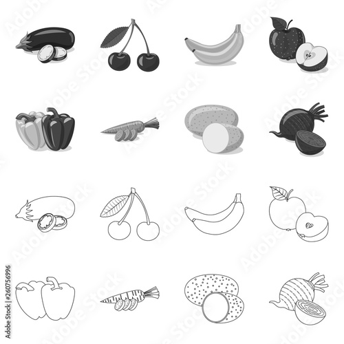 Vector illustration of vegetable and fruit symbol. Set of vegetable and vegetarian vector icon for stock.