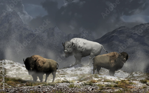 The white bison king and his two buffalo guards stand on snowy ground in a valley surrounded by snow capped rocky mountains in the American wild west on a dark and stormy day. 3D Rendering