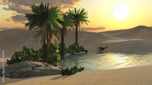 Oasis at sunset  desert sand and setting sun