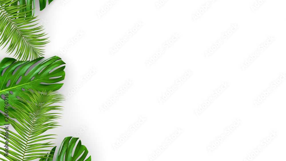 Plakat 3D render of realistic palm leaves on white background for cosmetic ad or fashion illustration. Tropical frame exotic banana palm.