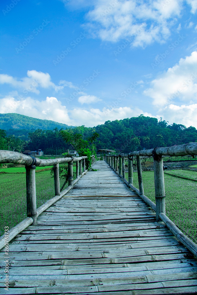sukorame rice field, a bridge made of bamboo