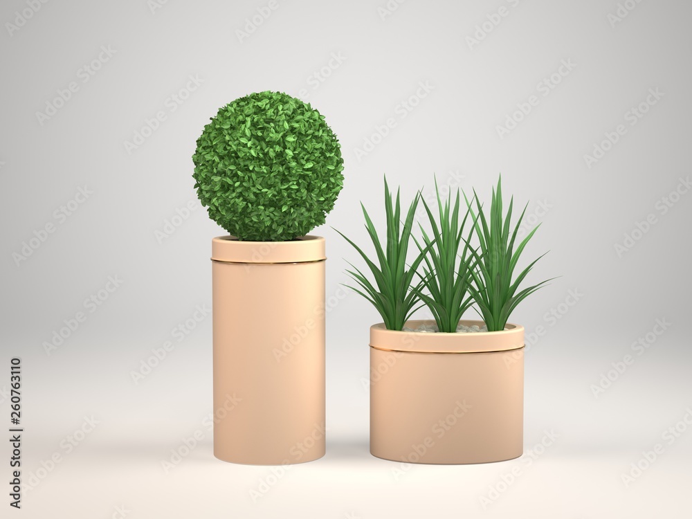 Indoor decorative plant and pot, 3d Rendering