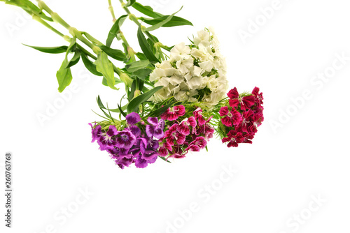 Fototapeta Naklejka Na Ścianę i Meble -  bouquet of flowers on white background