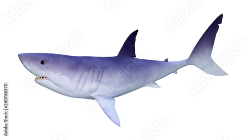 3D Rendering Shark on White