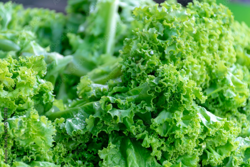 Fresh green lettuce sold in the market (Seletive focus) Fresh green lettuce sold in the market (Seletive focus)