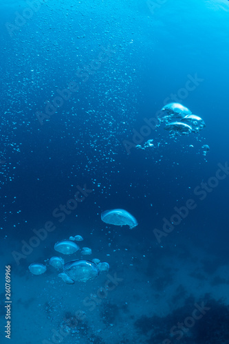 Bubbles from a Scuba diver