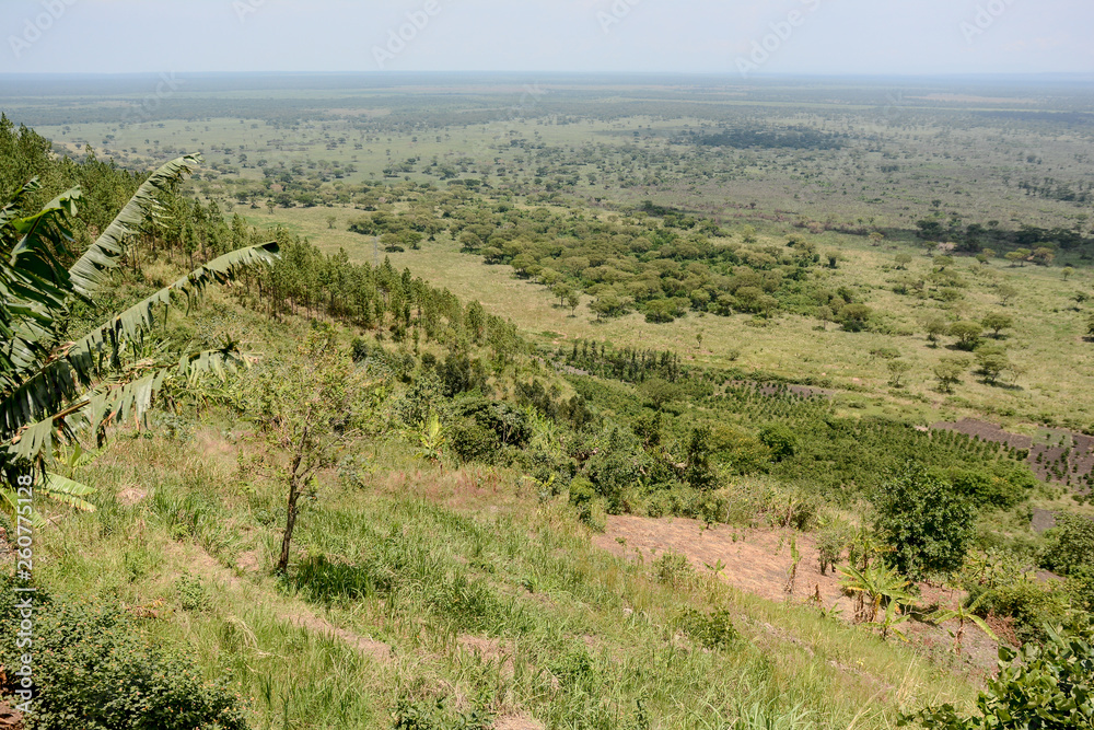 Landscape in Uganda in Queens Elizabeth National Park
