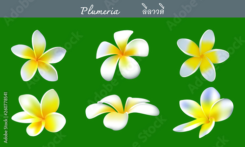 Plumeria flower set