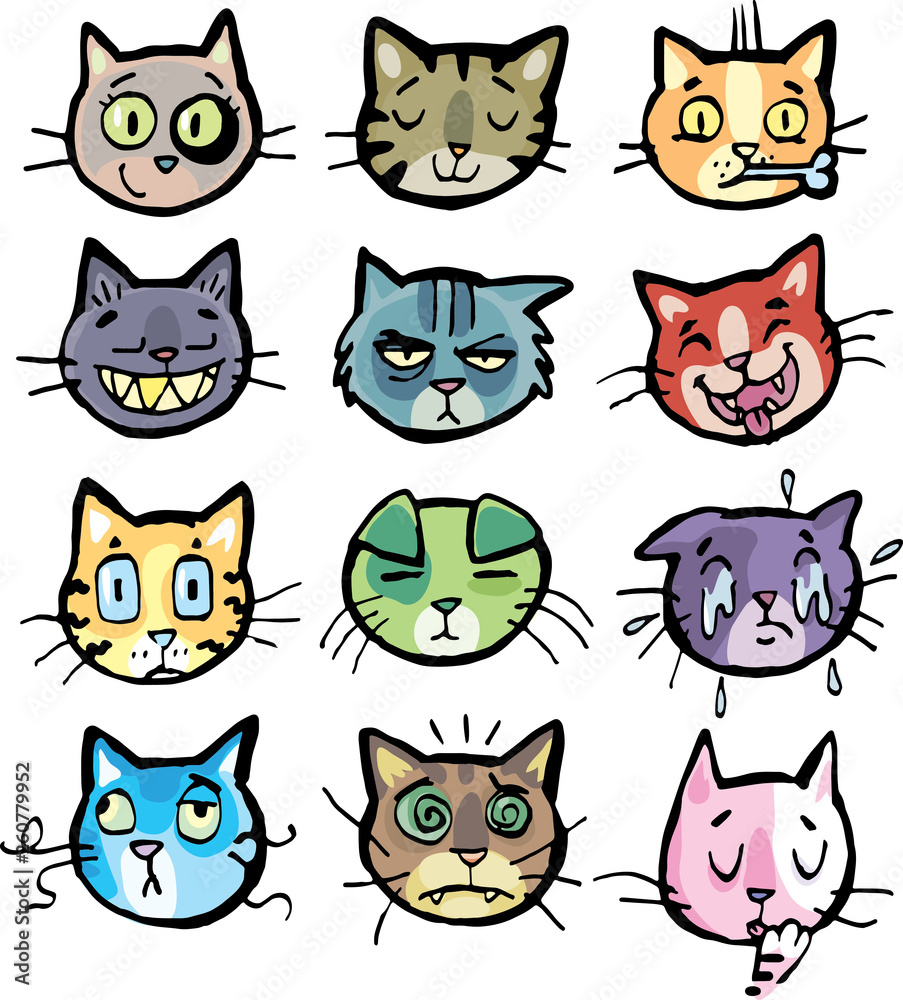 cats faces