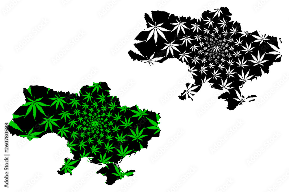 Fototapeta premium Ukraine - map is designed cannabis leaf green and black, Ukraine map made of marijuana (marihuana,THC) foliage,