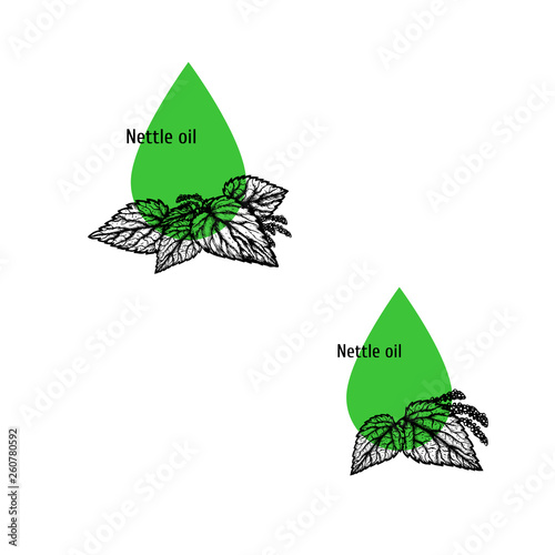 Nettle oil icon set. Hand drawn sketch. Extract of plant. Vector illustration