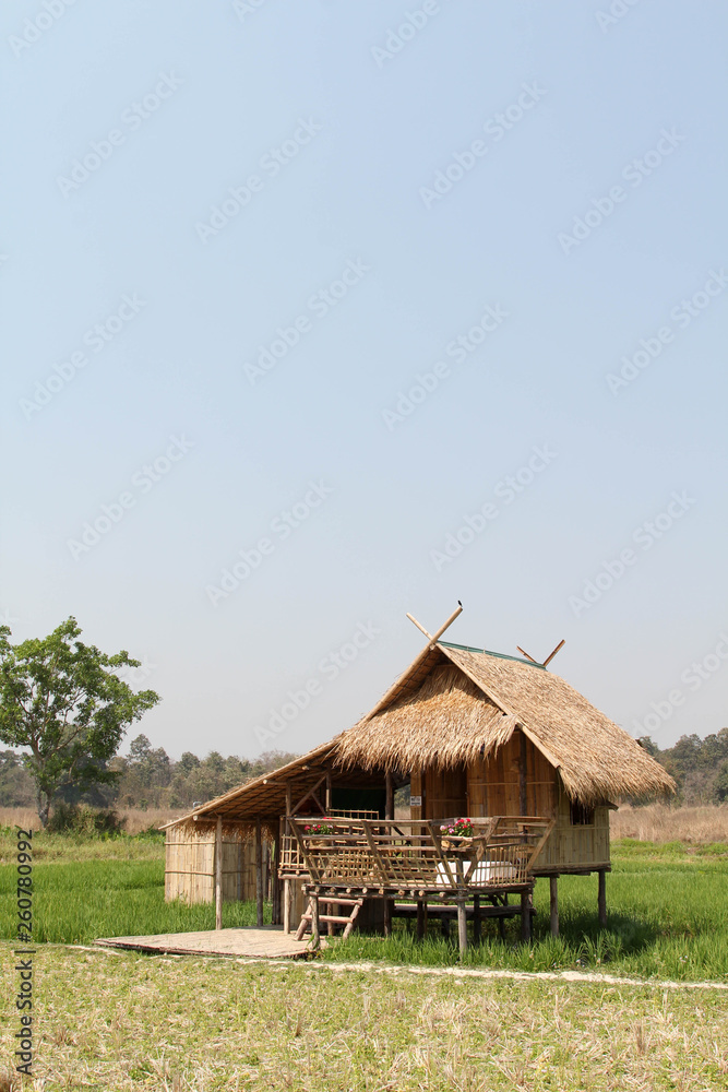 Cottage on the rice field in Huai Tueng Thao, Chiangmai, Northern Thailand.