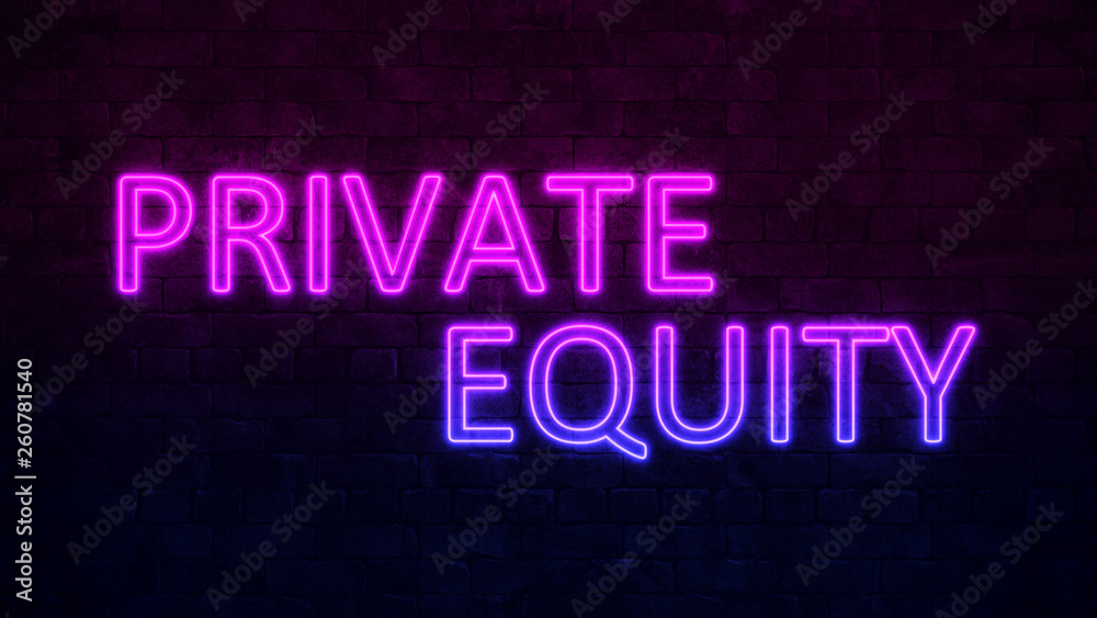 Concept Private Eqiuty. Purple and Blue Neon inscription on a dark brick wall. 3d illustration