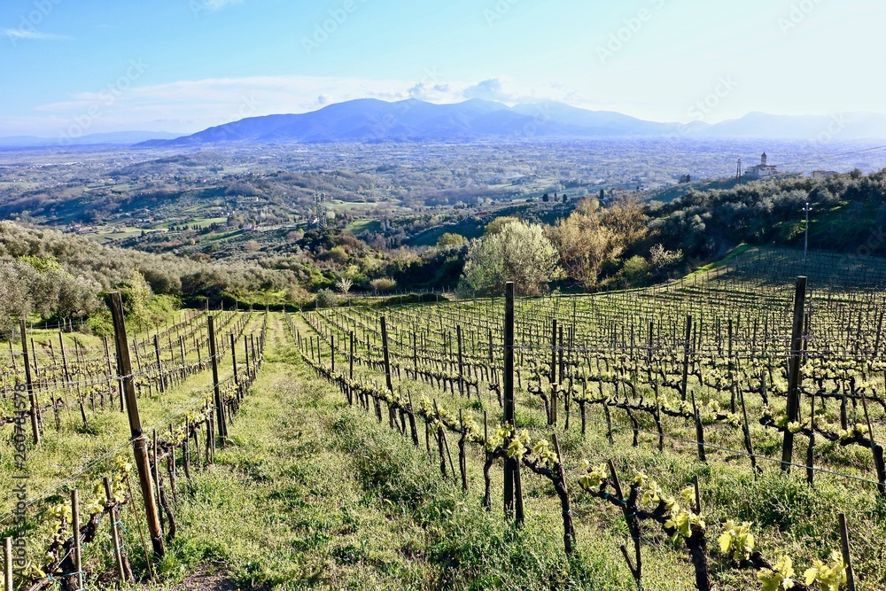 Fototapeta premium Tuscany moments