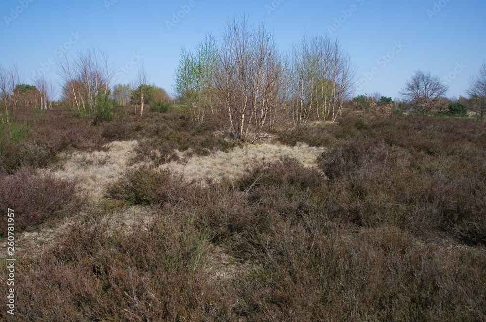Ehemaliger Truppenübungsplatz Döberitzer Heide Ehemaliger Truppenübungsplatz Döberitzer Heide