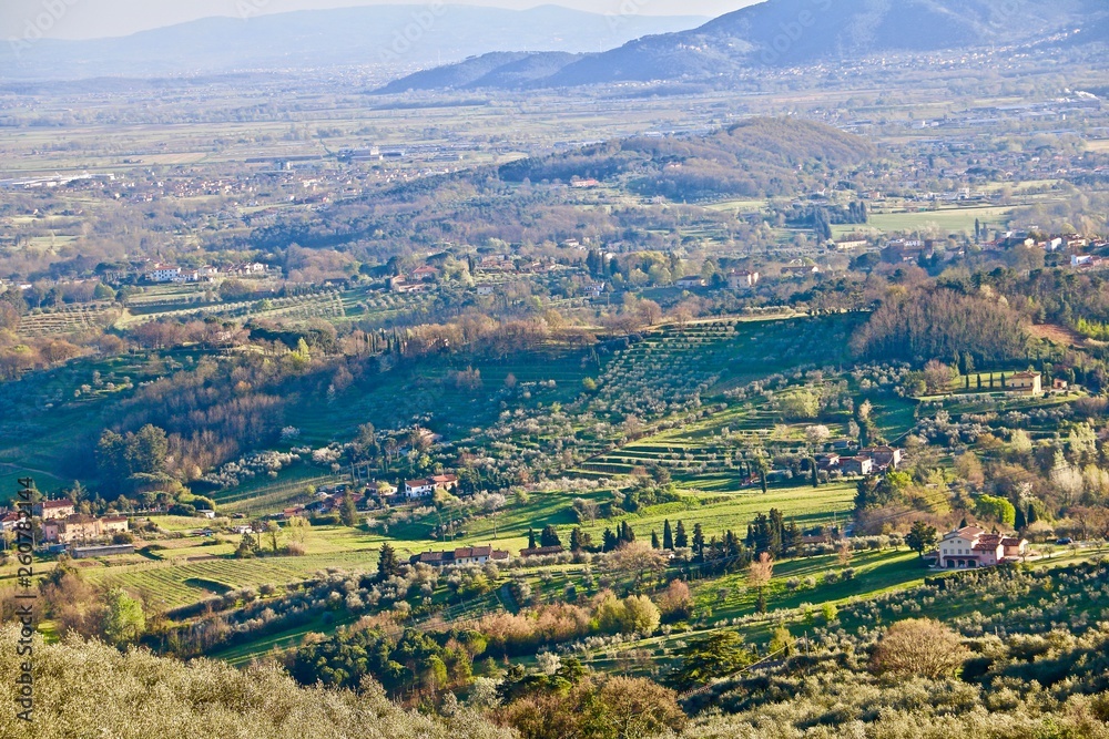 Tuscany moments 