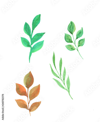 watercolor illustration of a set of twigs with leaves