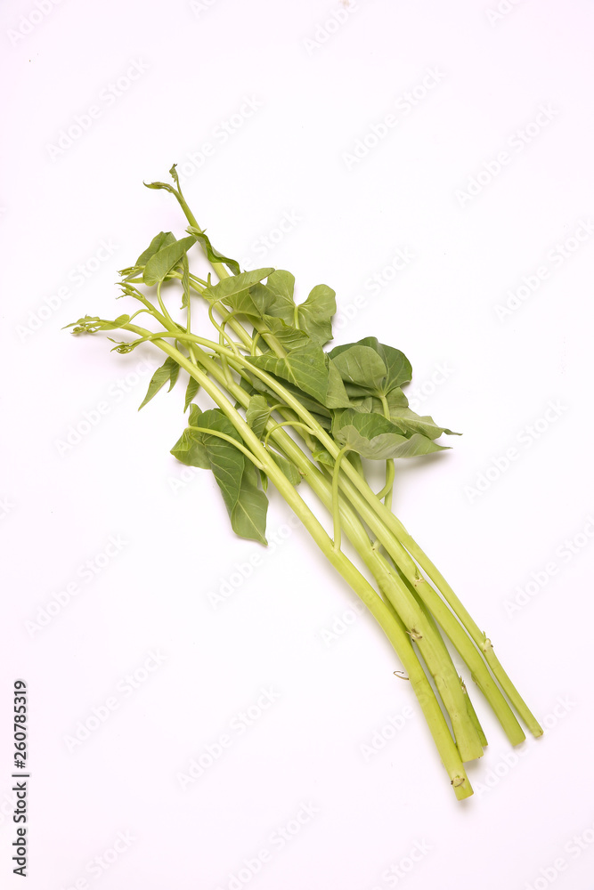 Obraz premium パック・ブン・タイ・ナーム