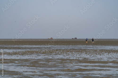 Wattenmeer bei Ebbe mit Wattwagen und Wanderern