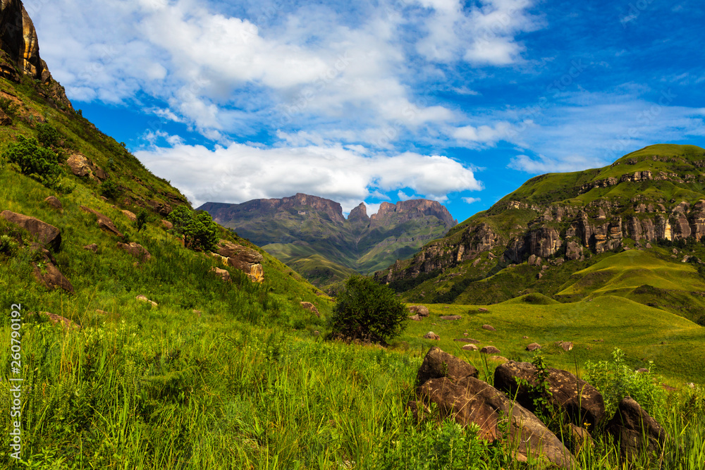 Fototapeta premium Green grass on mountain