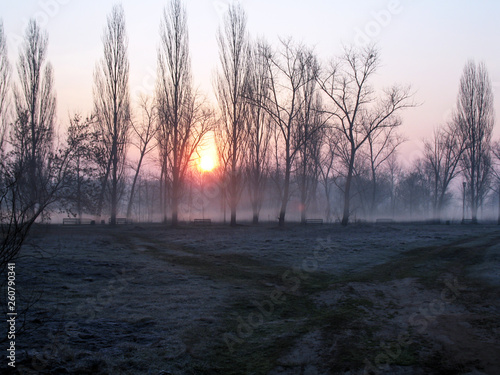 Sunrise over the trees in the park in hoarfrost. Trees in the morning haze. Empty park benches