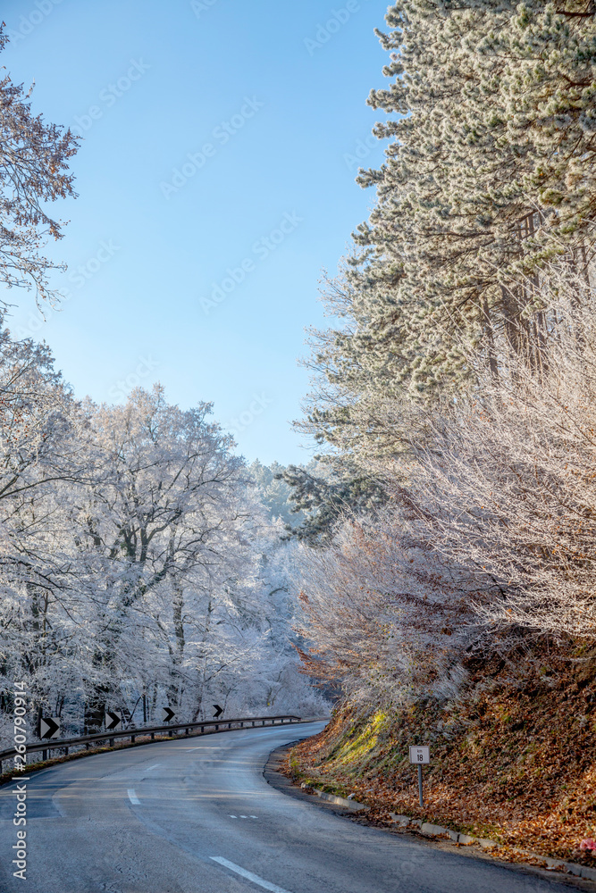 Frozen Forest at Fruska Gora Mountain near Novi Sad Frozen Forest at Fruska Gora Mountain near Novi Sad