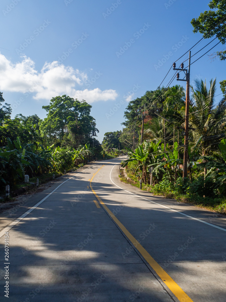 Shadows from palm trees on the road of the island of Phangan. Thailand. Shadows from palm trees on the road of the island of Phangan. Thailand.